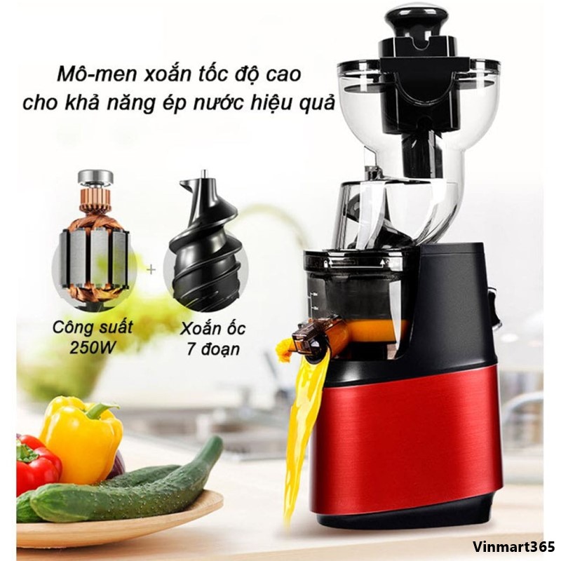 Máy ép chậm SAVTM JE-35 hoa quả