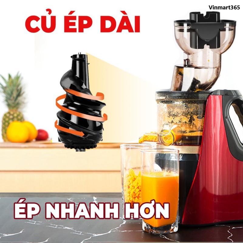 Máy ép chậm Hongxin RH-312