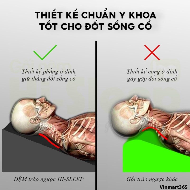 Gối chống trào ngược dạ dày cao cấp